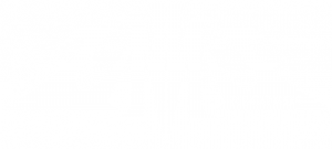 Zanns Records – Logo